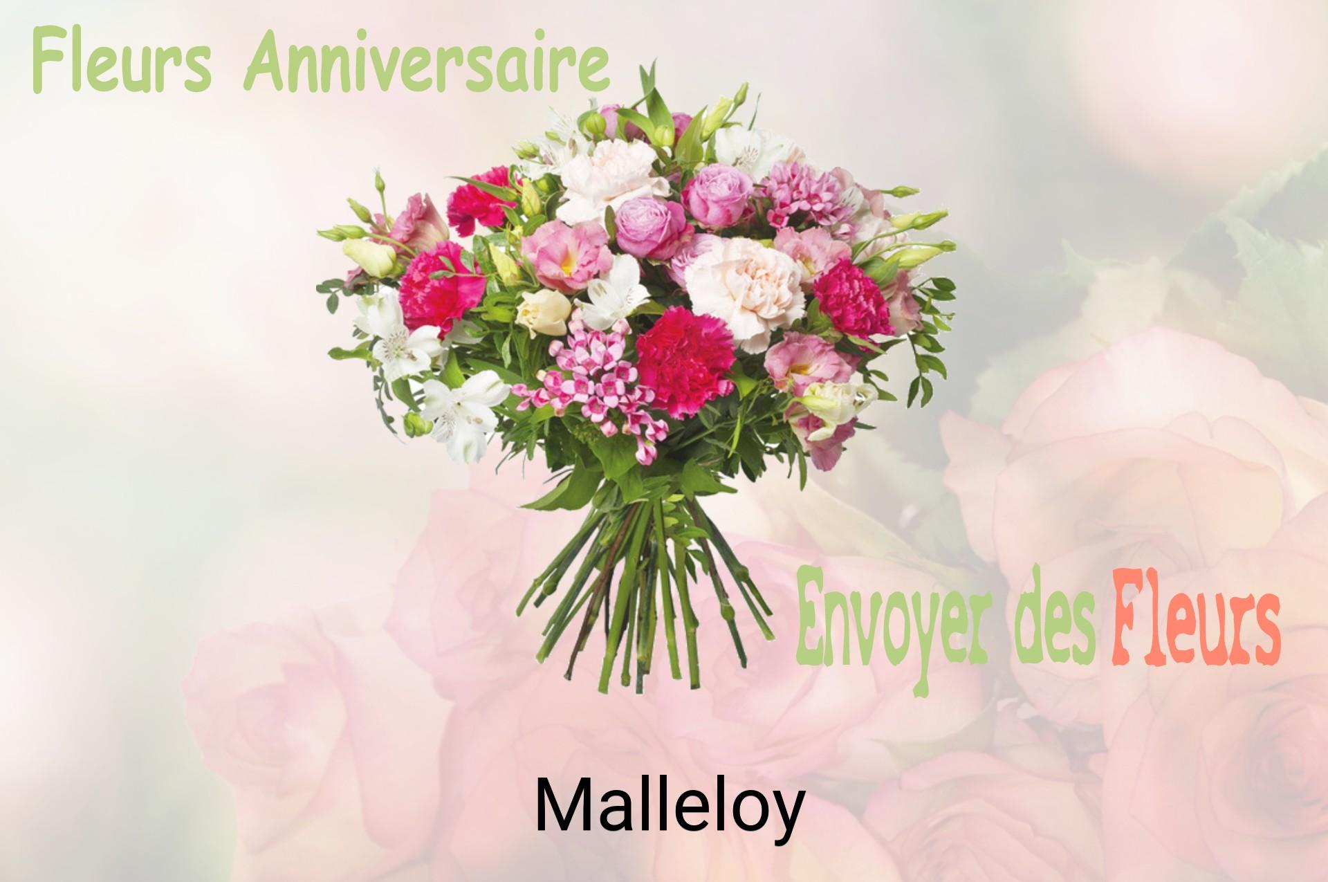 Bouquet de fleurs d’anniversaire livré à Malleloy